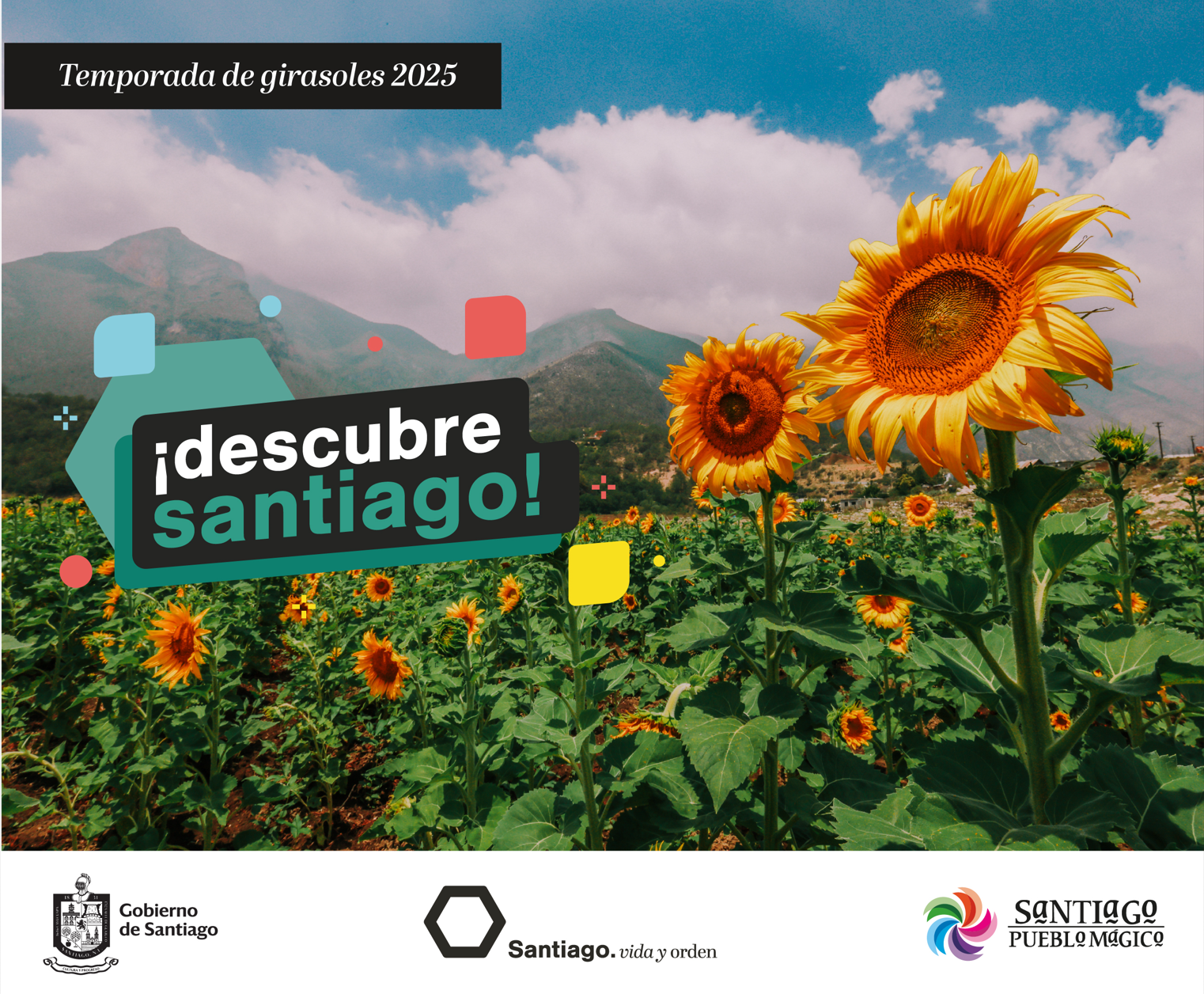 Captura de pantalla 2025-06-30 161747