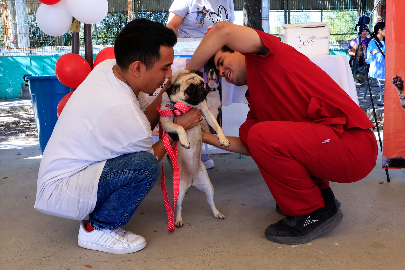 Comparten en Guadalupe amor a mascotas