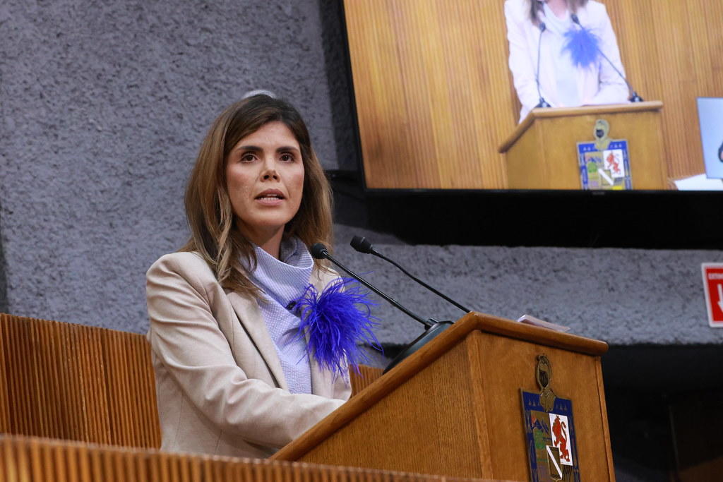 Aprueban diputados control parental en redes sociales para menores