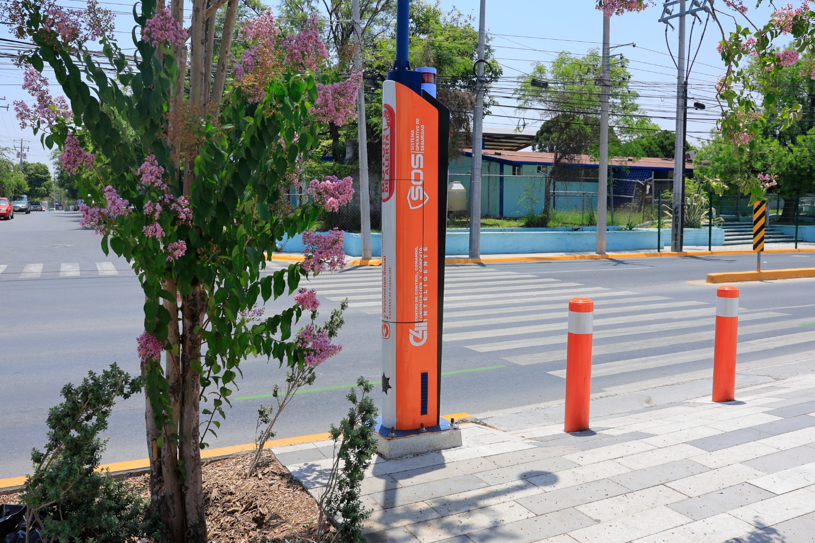 Activa Guadalupe 108 dispositivos de video vigilancia y botón de auxilio
