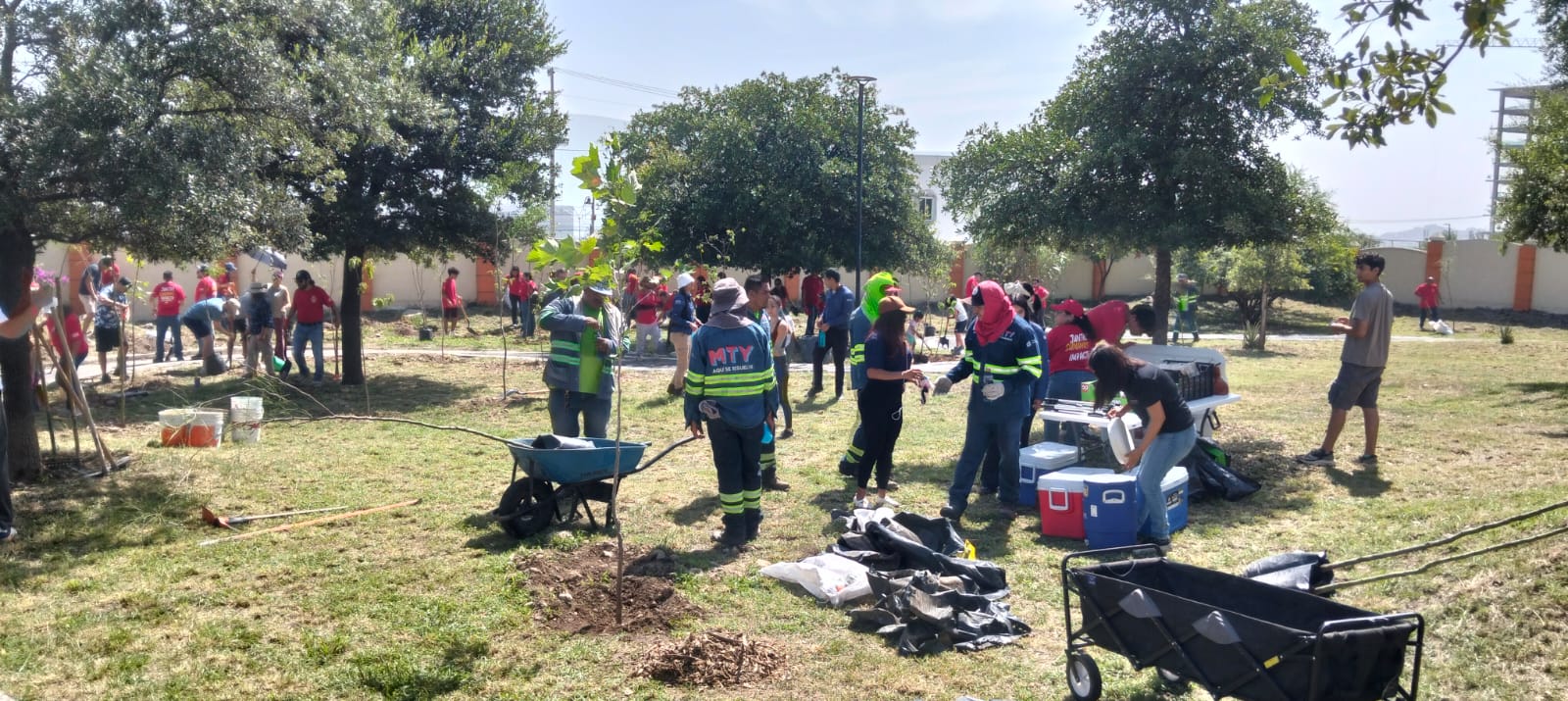 Realiza Gobierno de Monterrey jornada de forestación en Parque Cumbres Elite