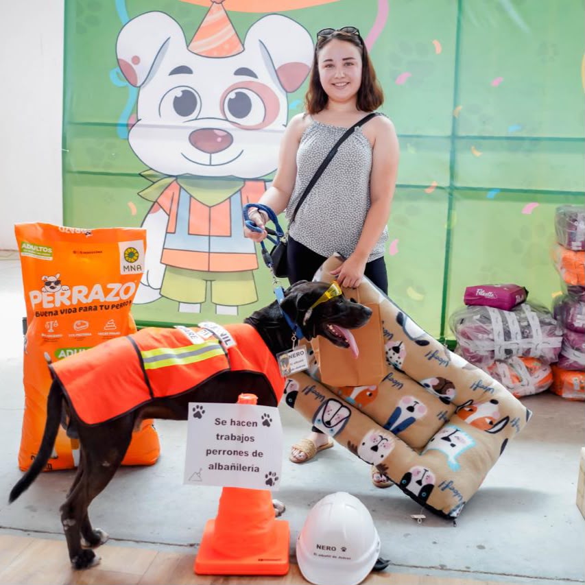 Celebran con éxito el Día Mundial del Perro en Juárez con jornada de bienestar animal y adopción responsable