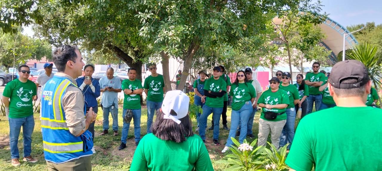 Realiza Gobierno de Monterrey jornada de forestación en el Parque España por su 59 aniversario