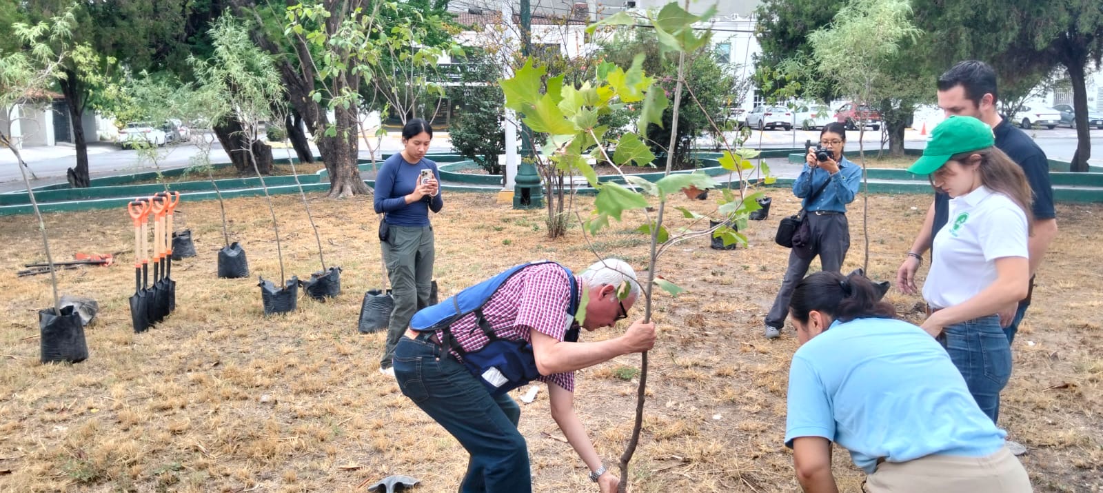 Planta Monterrey 20 árboles nativos en el Parque Aarón Sáenz