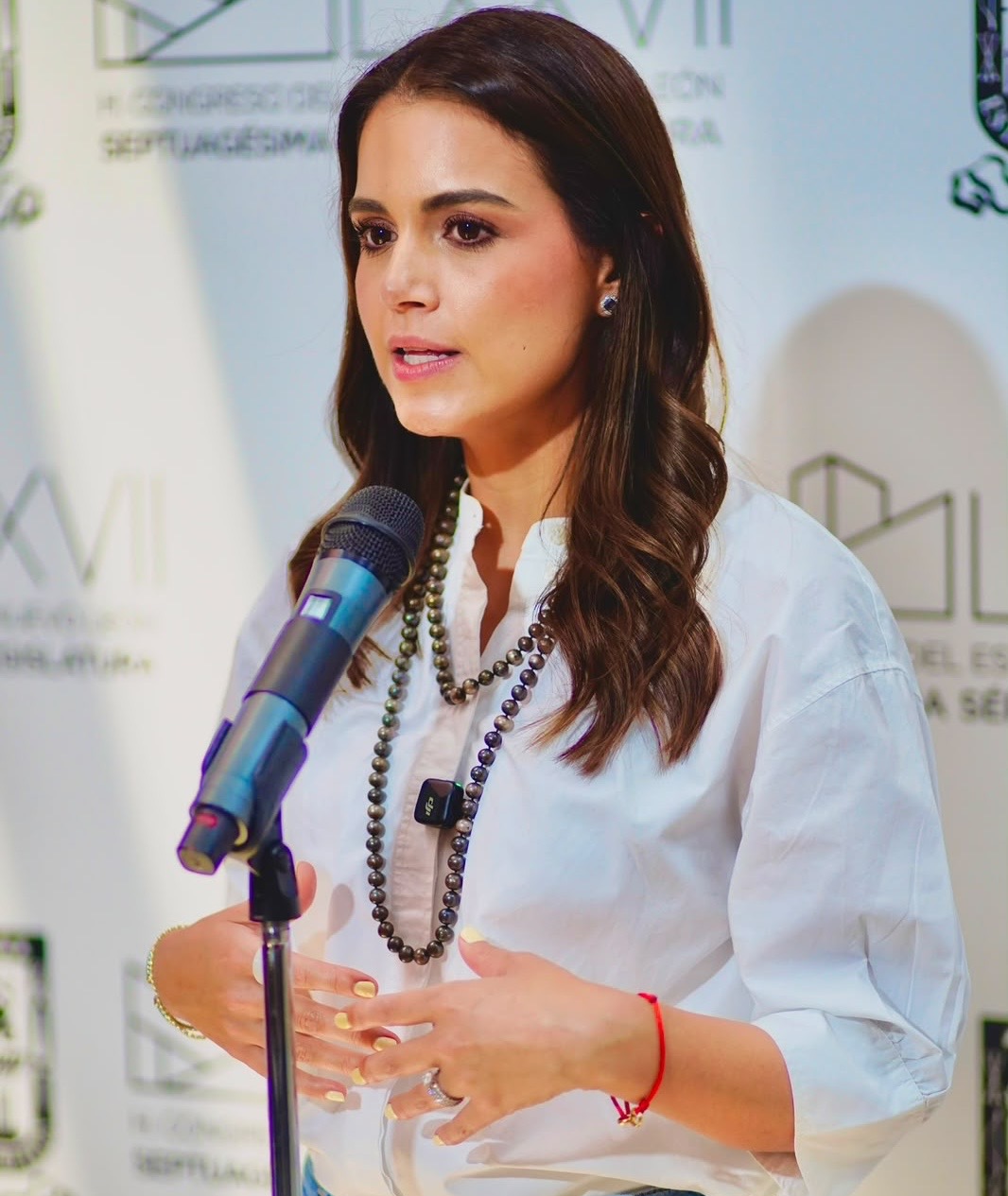 Exhorta Lorena de la Garza a municipios a armonizar sus reglamentos con la Ley Antichoquecitos