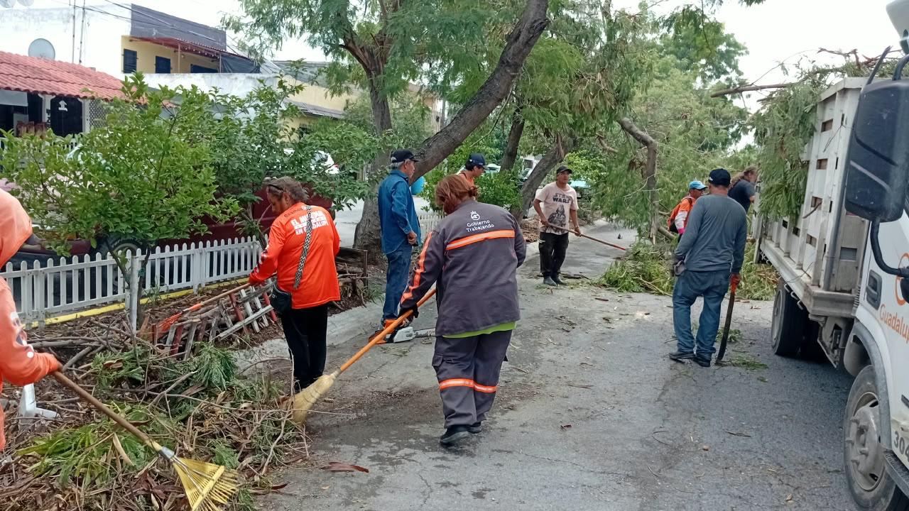 Refuerza Guadalupe labores de desazolve y retiro de árboles