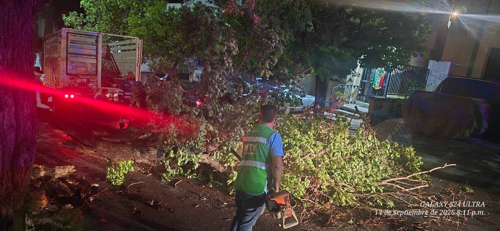 Atiende Monterrey caída de más de 40 árboles tras lluvias y fuertes vientos